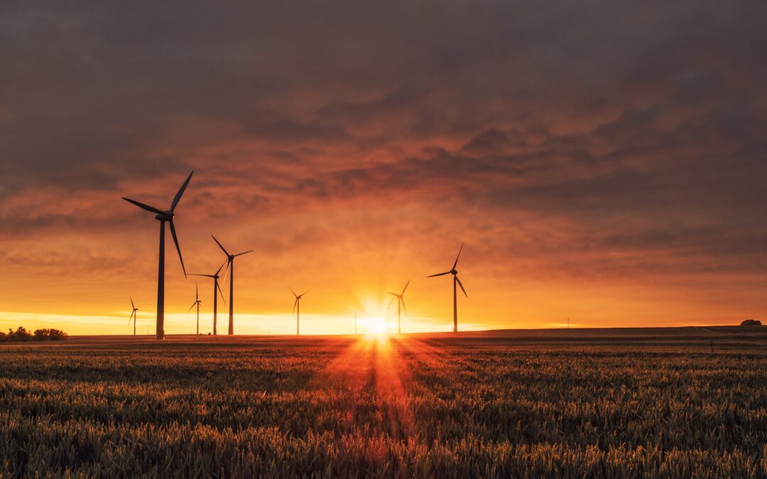 Energy Transition Pathways: Unveiling the Intricacies of Mental Representations and Categorizations
