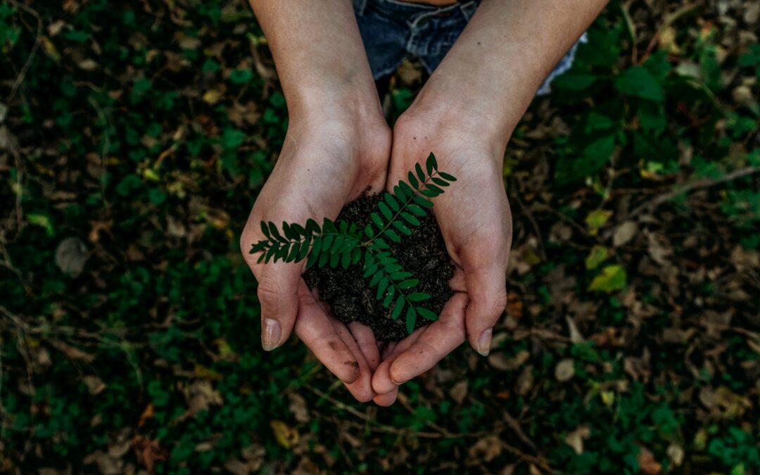 Reduce | Reuse | Recycle: How You Can Help the Environment