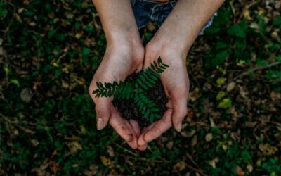 Reduce | Reuse | Recycle: How You Can Help the Environment
