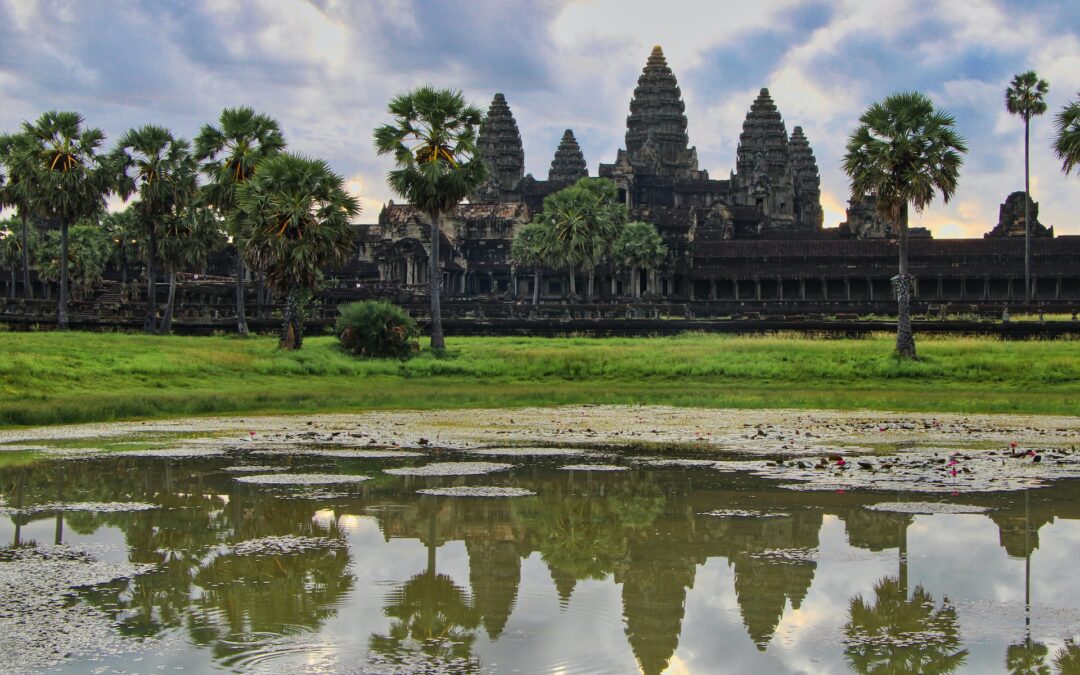 India Leads the Way in Renewable Energy