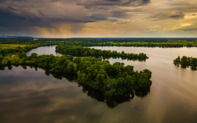 New Technologies Help to Protect the Environment