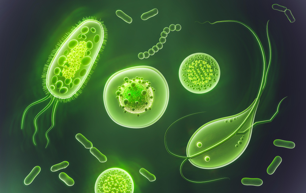 gut microbiome, gut health, gut-brain axis, gut microbial community, gut dysbiosis, metabolic disorders, intestinal disorders, neurodegenerative diseases, cardiovascular disease, probiotics